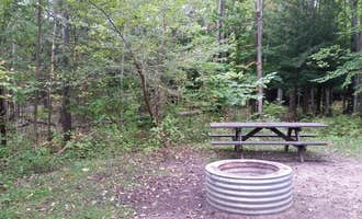 Camping near Betsie River Campsite: Veterans Memorial State Forest Campground, Honor, Michigan