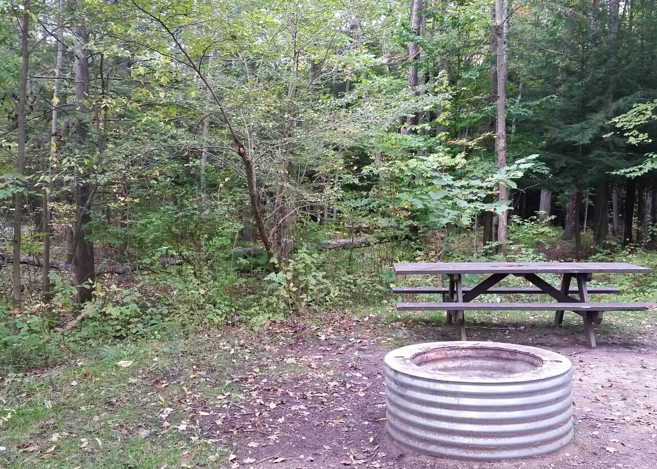 Veterans Memorial State Forest Campground Camping The Dyrt