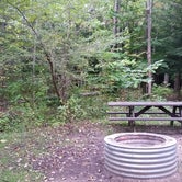Review photo of Veterans Memorial State Forest Campground by Dalton B., September 30, 2018