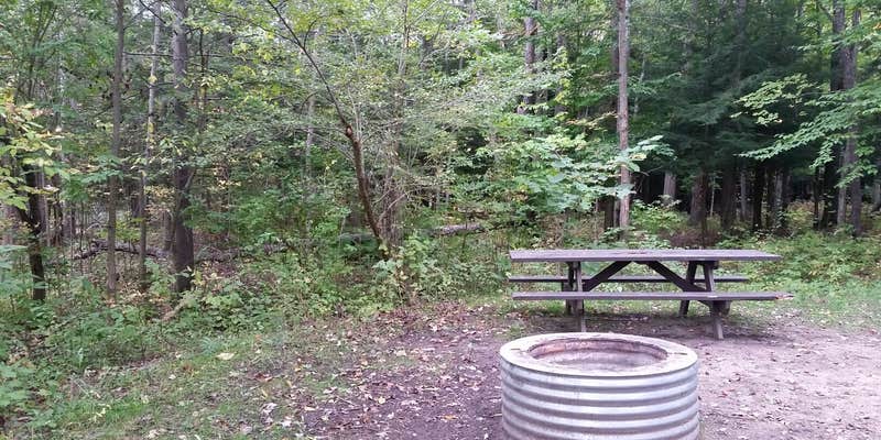 Camper submitted image from Veterans Memorial State Forest Campground