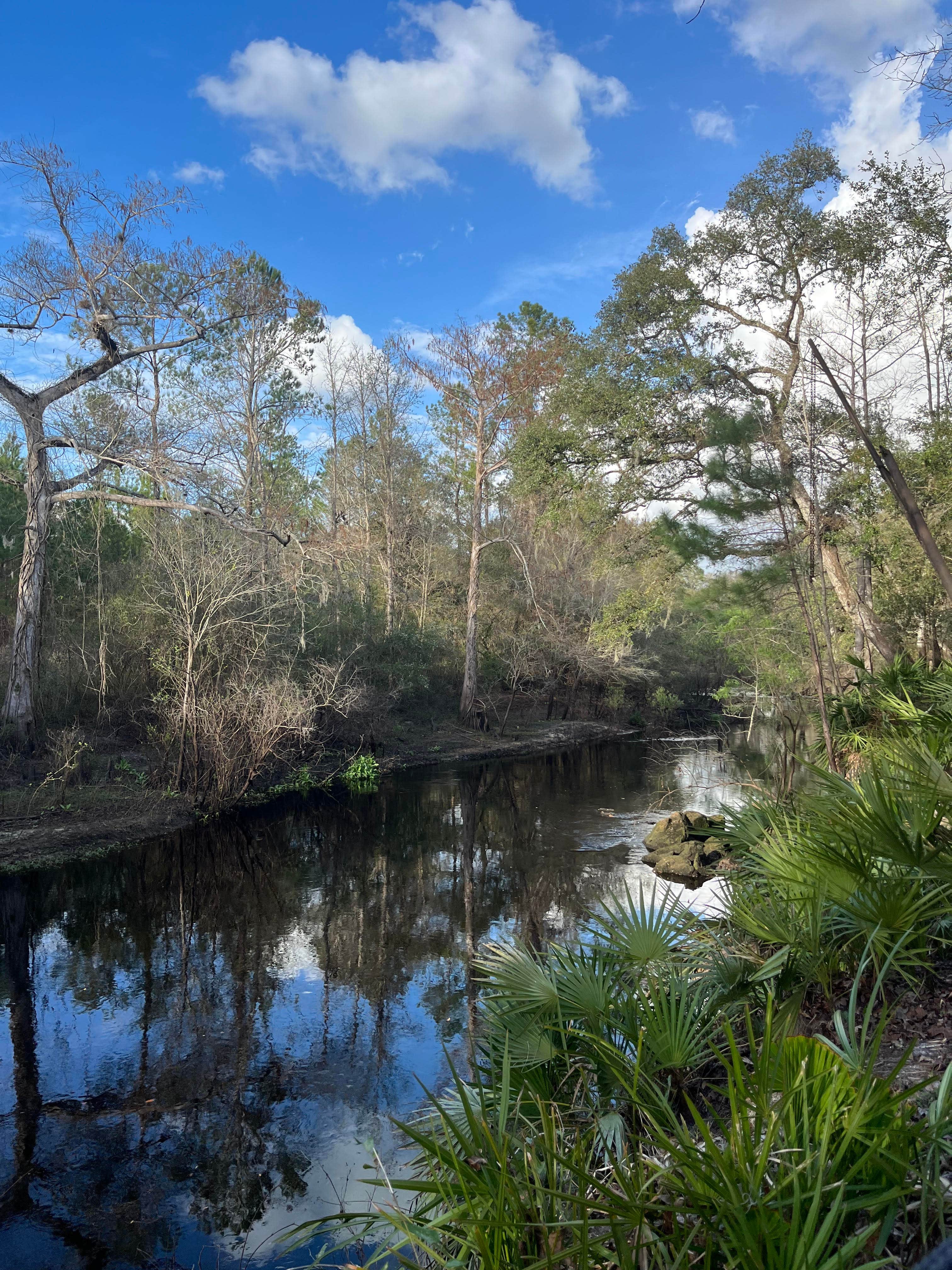 Camping near Cypress Glen Campground: Riverside Retreat, Trilby, Florida