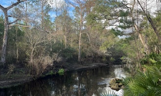Camping near Green Swamp — West Tract: Riverside Retreat, Trilby, Florida