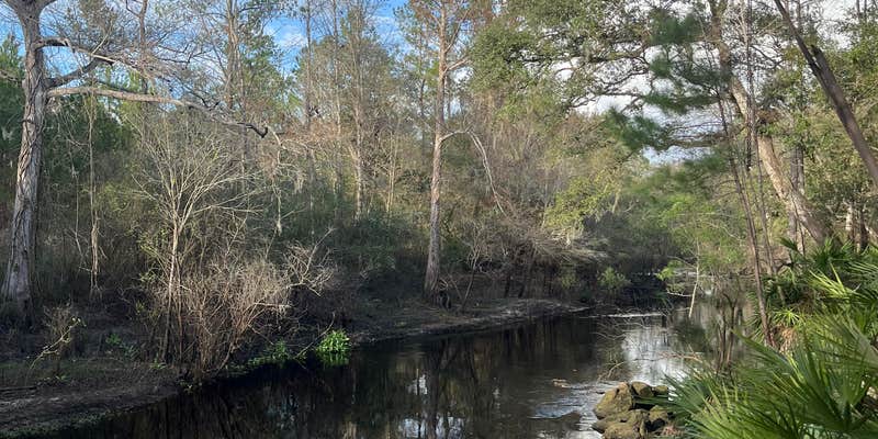 Camper submitted image from Riverside Retreat