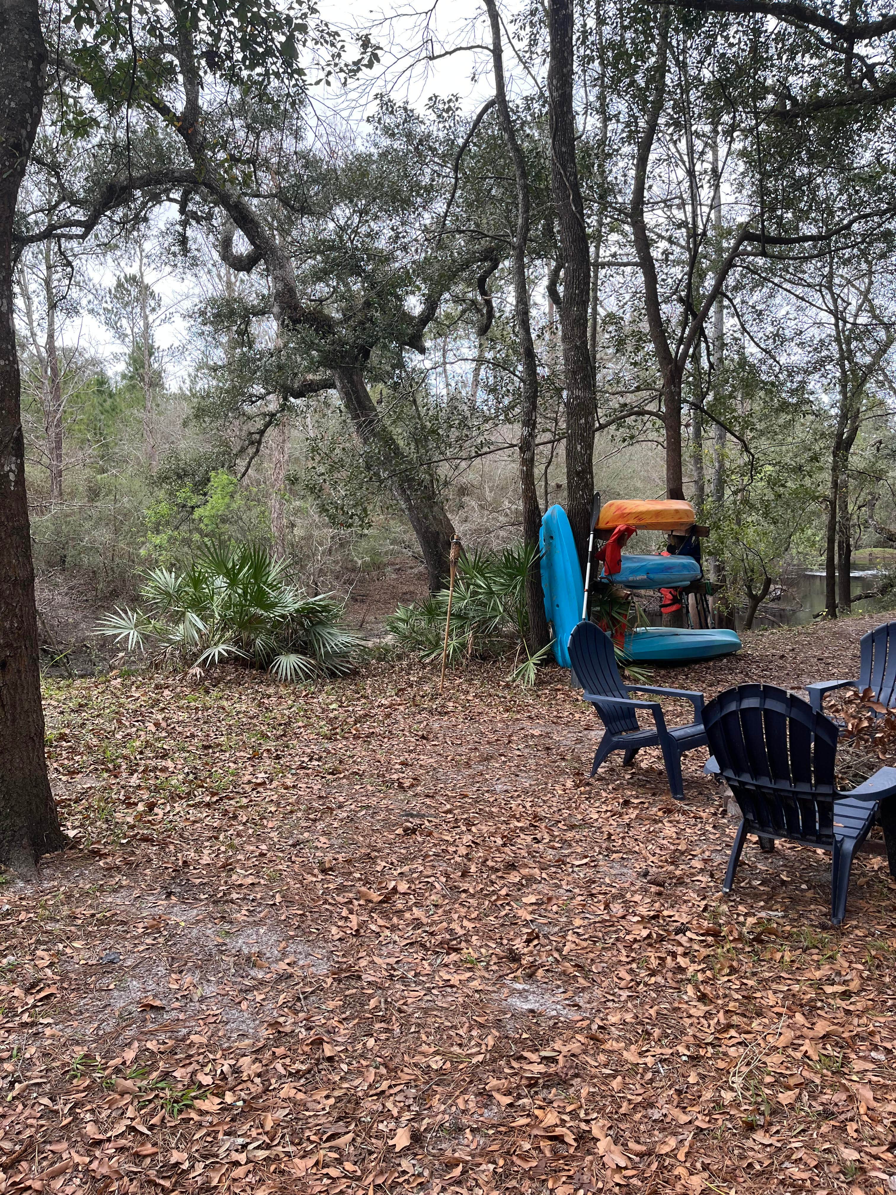 Sandra R.'s photo at Riverside Retreat near Lacoochee, FL