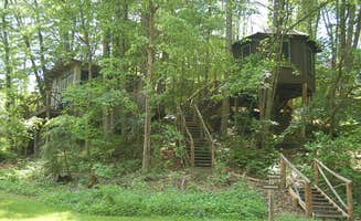 Anne P.'s photo of a cabin at The Cabins At Healing Springs near Ceres, VA