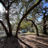 Review photo of Santee Coastal Reserve by Andy K., February 15, 2023