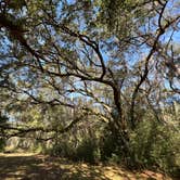 Review photo of Santee Coastal Reserve by Andy K., February 15, 2023