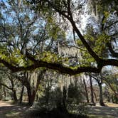 Review photo of Santee Coastal Reserve by Andy K., February 15, 2023