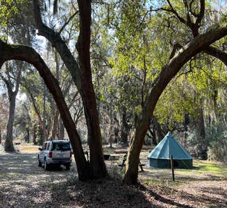Camper-submitted photo from Santee Coastal Reserve