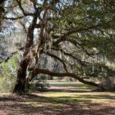 Review photo of Santee Coastal Reserve by Andy K., February 15, 2023