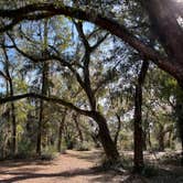 Review photo of Santee Coastal Reserve by Andy K., February 15, 2023