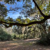 Review photo of Santee Coastal Reserve by Andy K., February 15, 2023