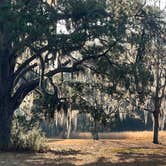 Review photo of Santee Coastal Reserve by Andy K., February 15, 2023