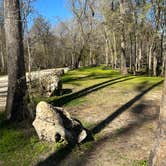 Review photo of Ginnie Springs Outdoors by Ashlee D., February 15, 2023