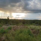 Review photo of Lake Louisa State Park Campground by Barbara A., September 30, 2018