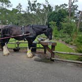 Review photo of Disney’s Fort Wilderness Resort & Campground by Barbara A., September 30, 2018