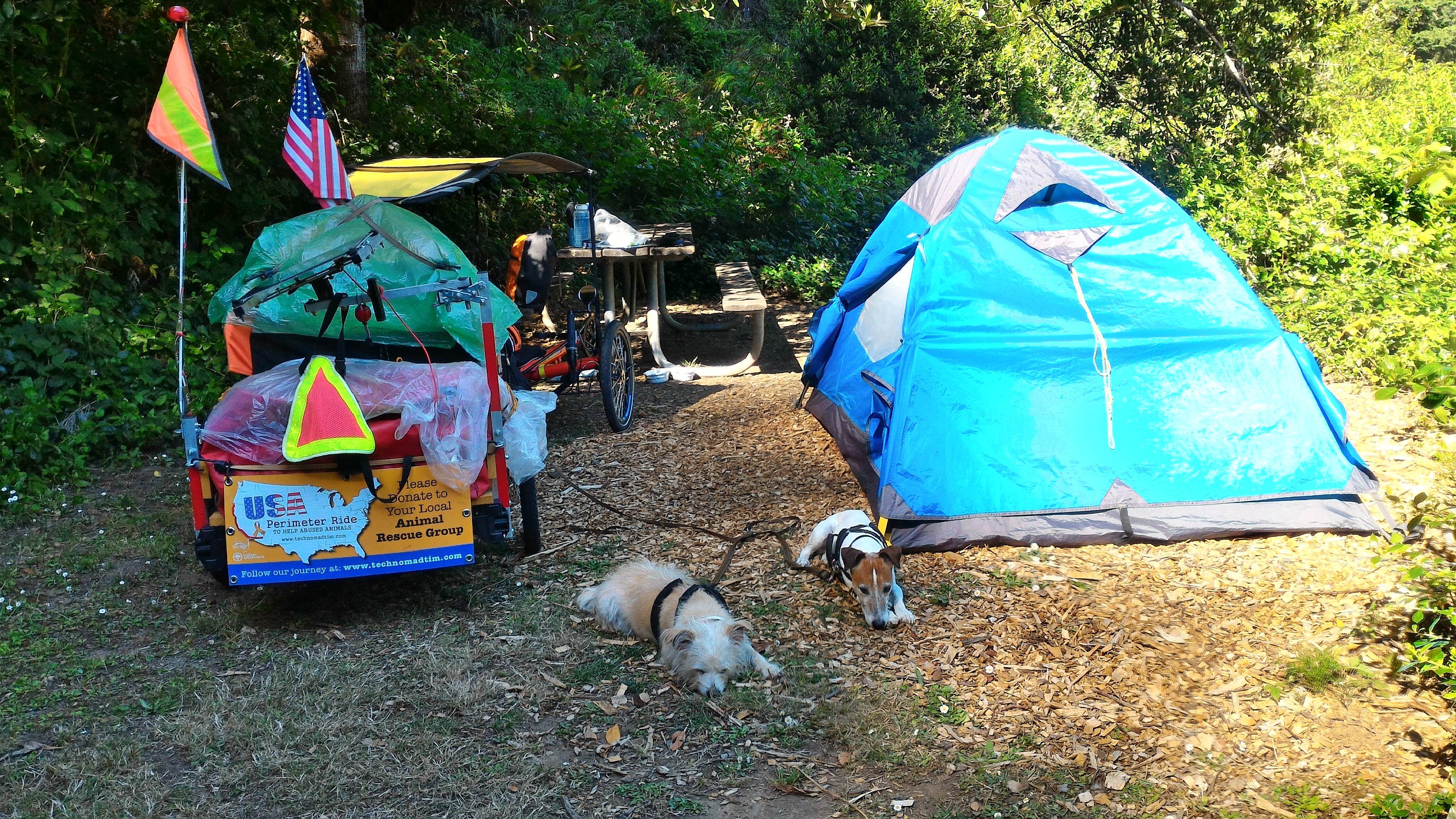 Tim J.'s photo at Humbug Mountain State Park Campground near Gold Beach, OR