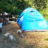 Review photo of Humbug Mountain State Park Campground by Tim J., September 30, 2018