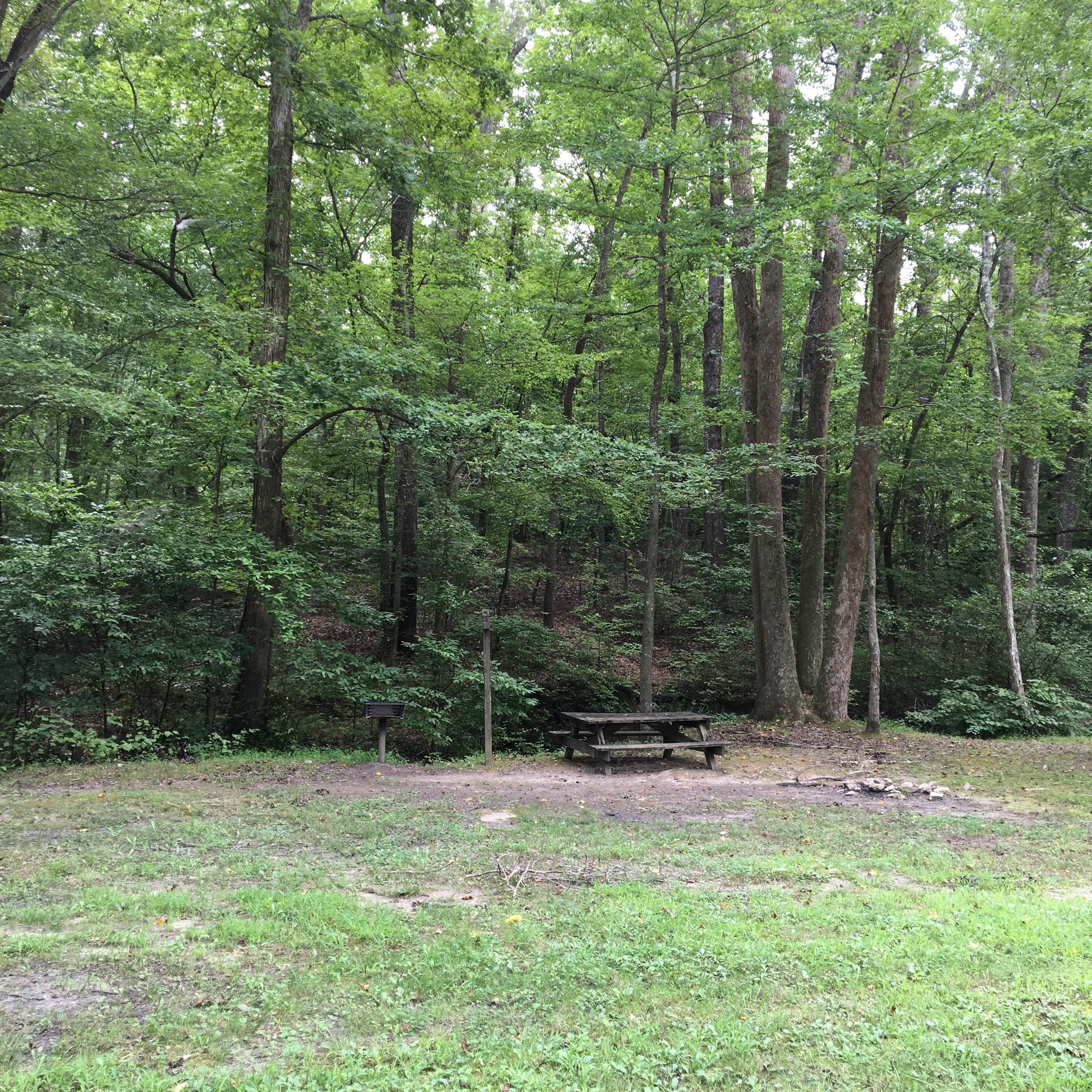 Camper submitted image from Cub Lake Campground #1 — Natchez Trace State Park - 2