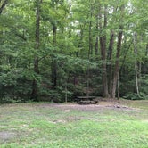 Review photo of Natchez Trace State Park Campground by Shelly S., August 13, 2016