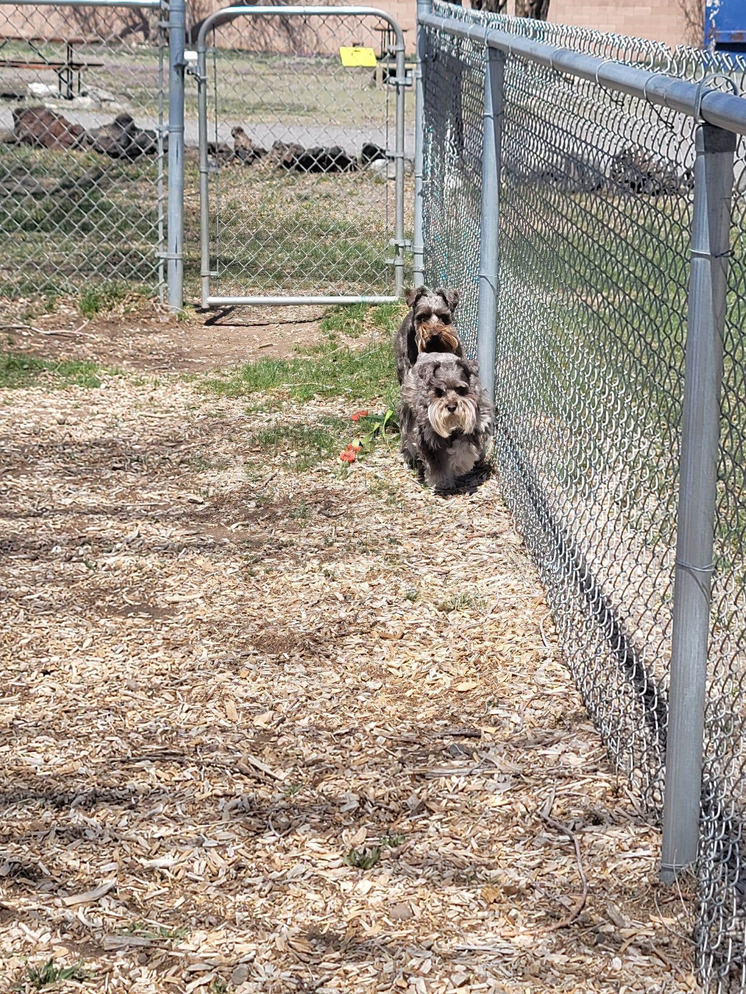 RJourney R.'s photo of camping with pets at Dixie Forest RV Resort by Rjourney near Beaver, UT