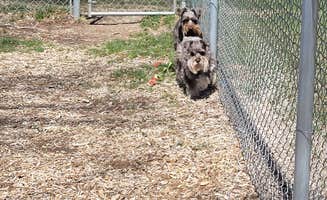 RJourney R.'s photo of camping with pets at Dixie Forest RV Resort by Rjourney near Dixie National Forest