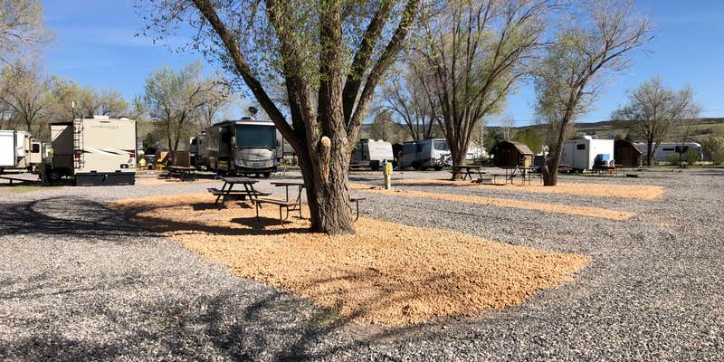 Camper submitted image from Dixie Forest RV Resort by Rjourney