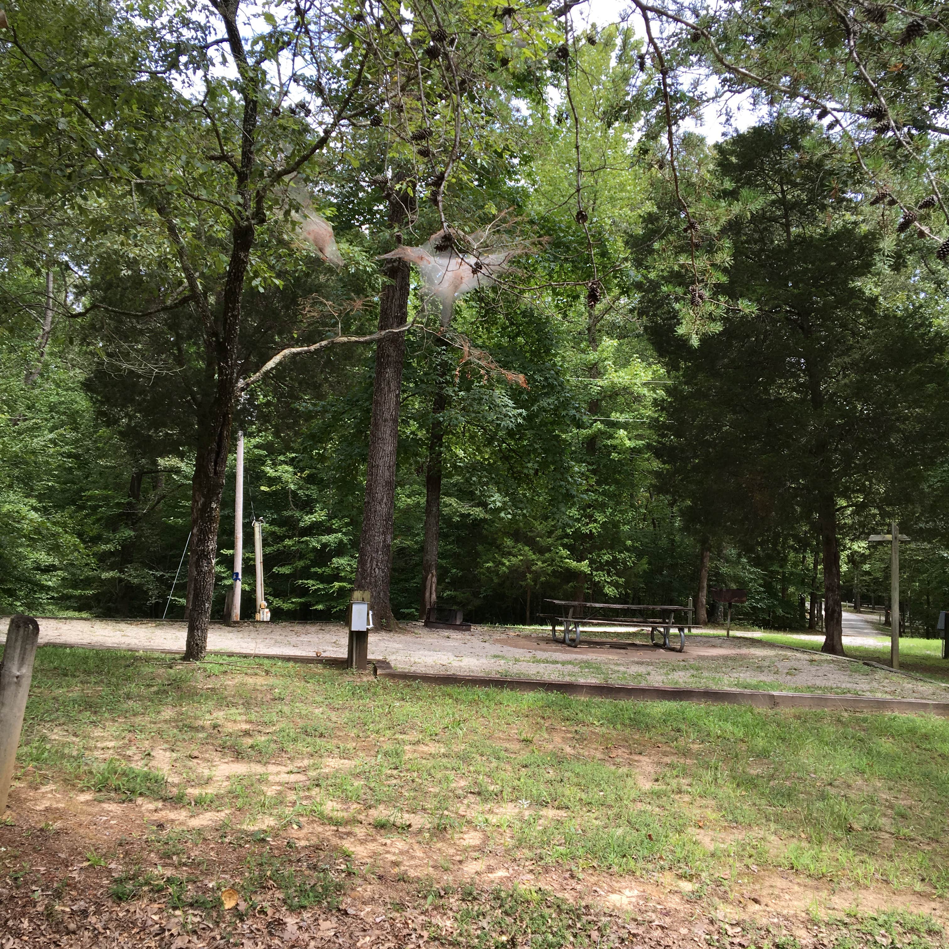 Camper-submitted photo at Cub Lake Campground #1 — Natchez Trace State Park near Pinson, TN