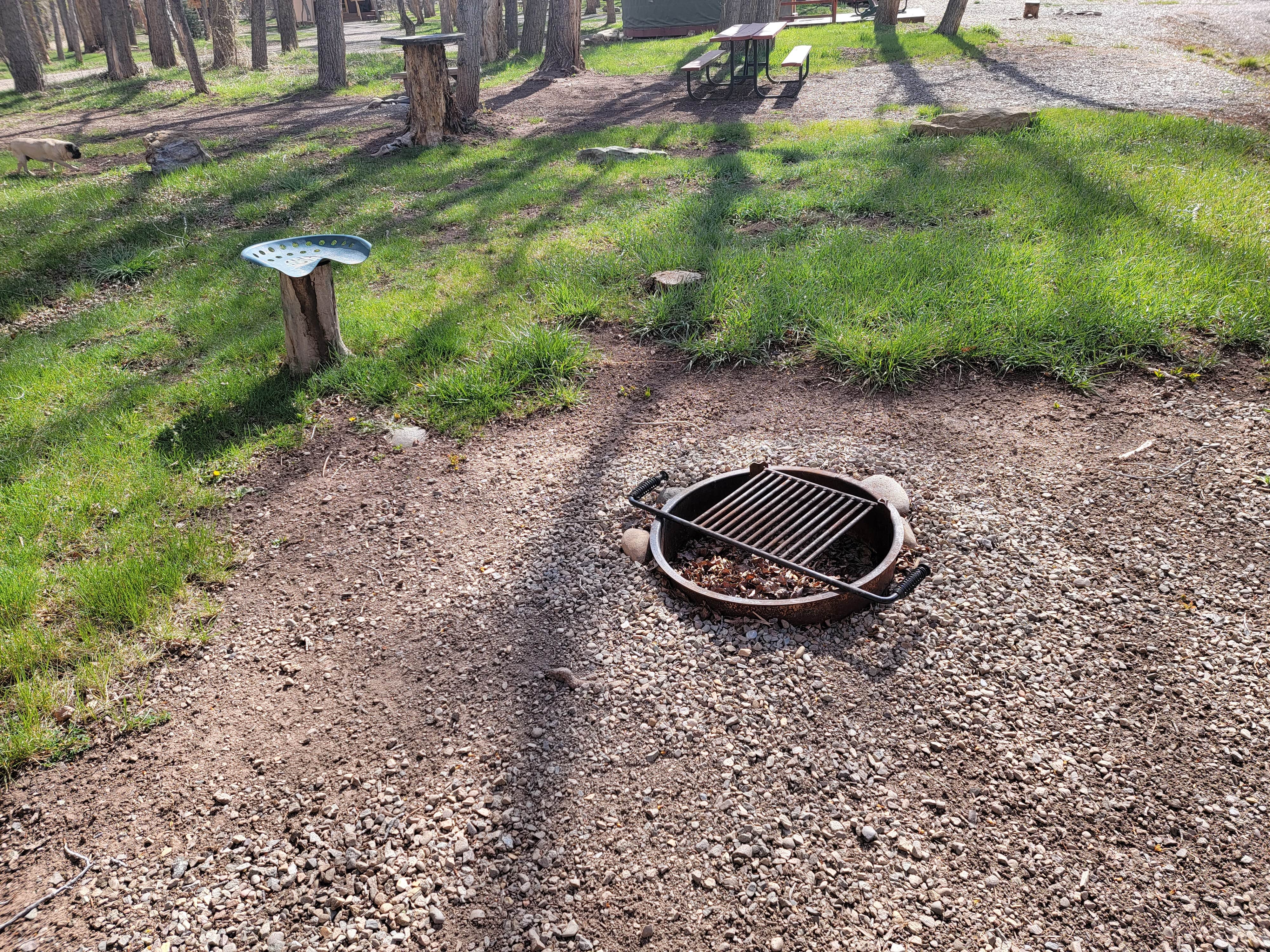 RJourney R.'s photo of camping with pets at Dolores River RV Resort by Rjourney near Cortez, CO