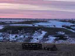 Camper-submitted photo at Heritage Hills Farm Camp and RV Sites near Malta, MT