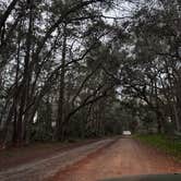 Review photo of Ocala National Forest Lake Dorr Campground by darsea , February 16, 2023