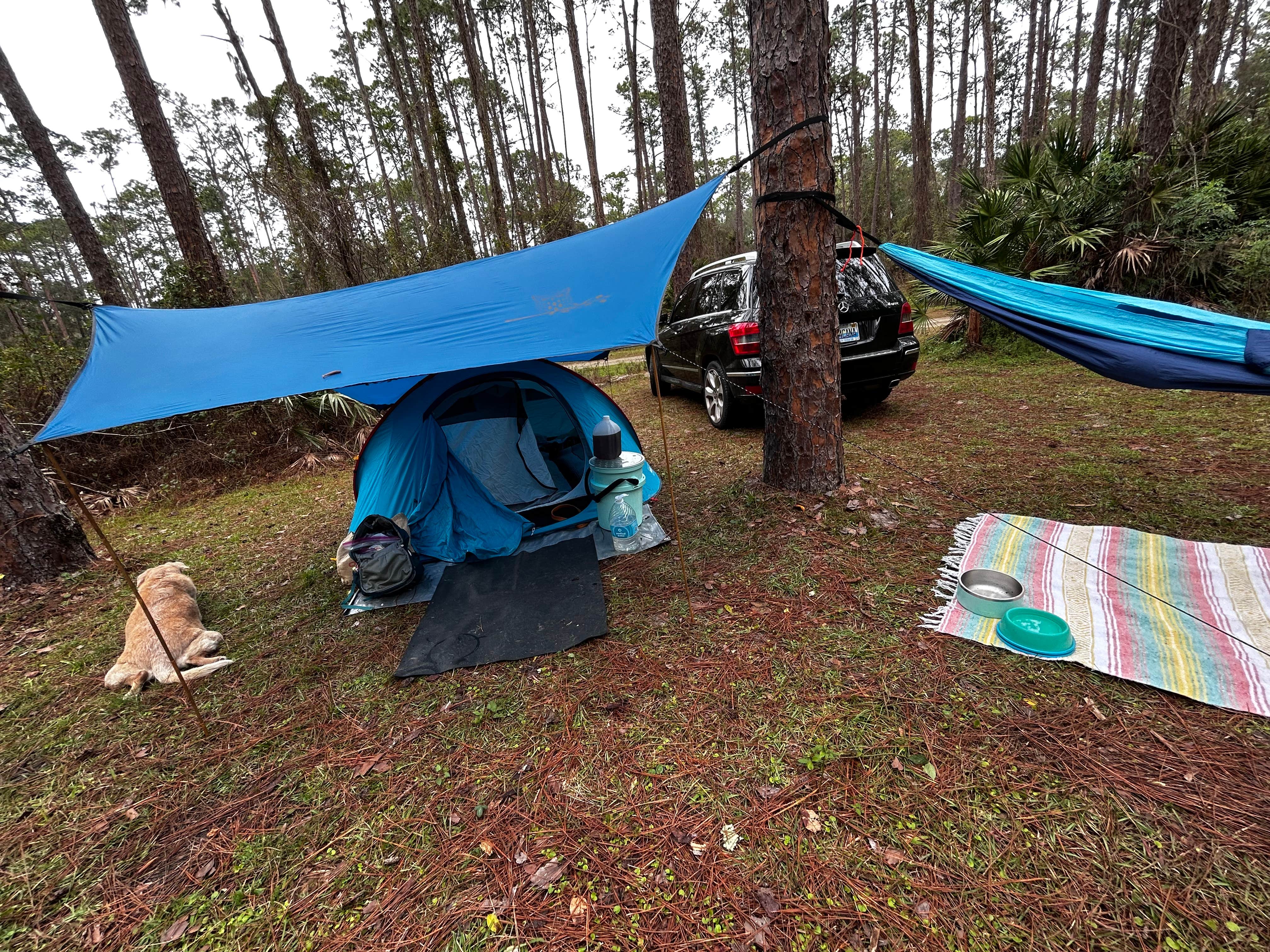 Camper-submitted photo at Ocala National Forest Lake Dorr Campground near Umatilla, FL