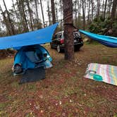 Review photo of Ocala National Forest Lake Dorr Campground by darsea , February 16, 2023