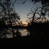 Review photo of Thousand Trails Turtle Beach by David B., February 16, 2023