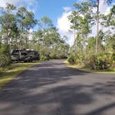 Review photo of Long Pine Key Campground — Everglades National Park by Katrin M., February 16, 2023