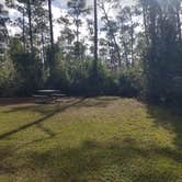 Review photo of Long Pine Key Campground — Everglades National Park by Katrin M., February 16, 2023