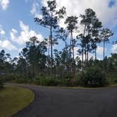 Review photo of Long Pine Key Campground — Everglades National Park by Katrin M., February 16, 2023