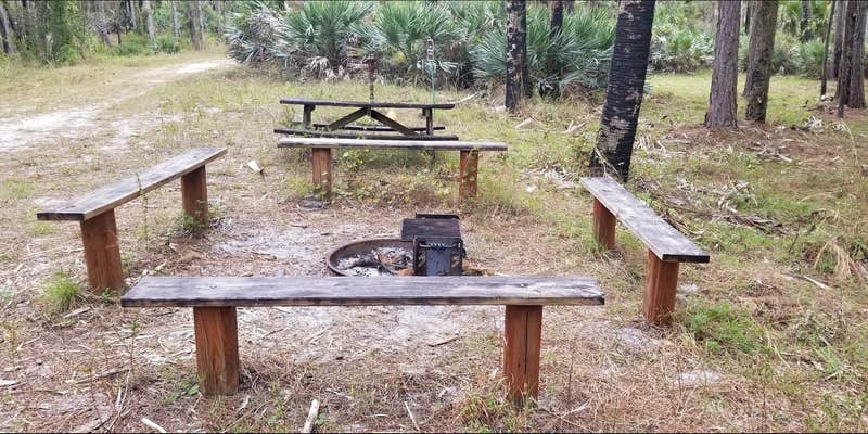 Camper submitted image from Loop 4