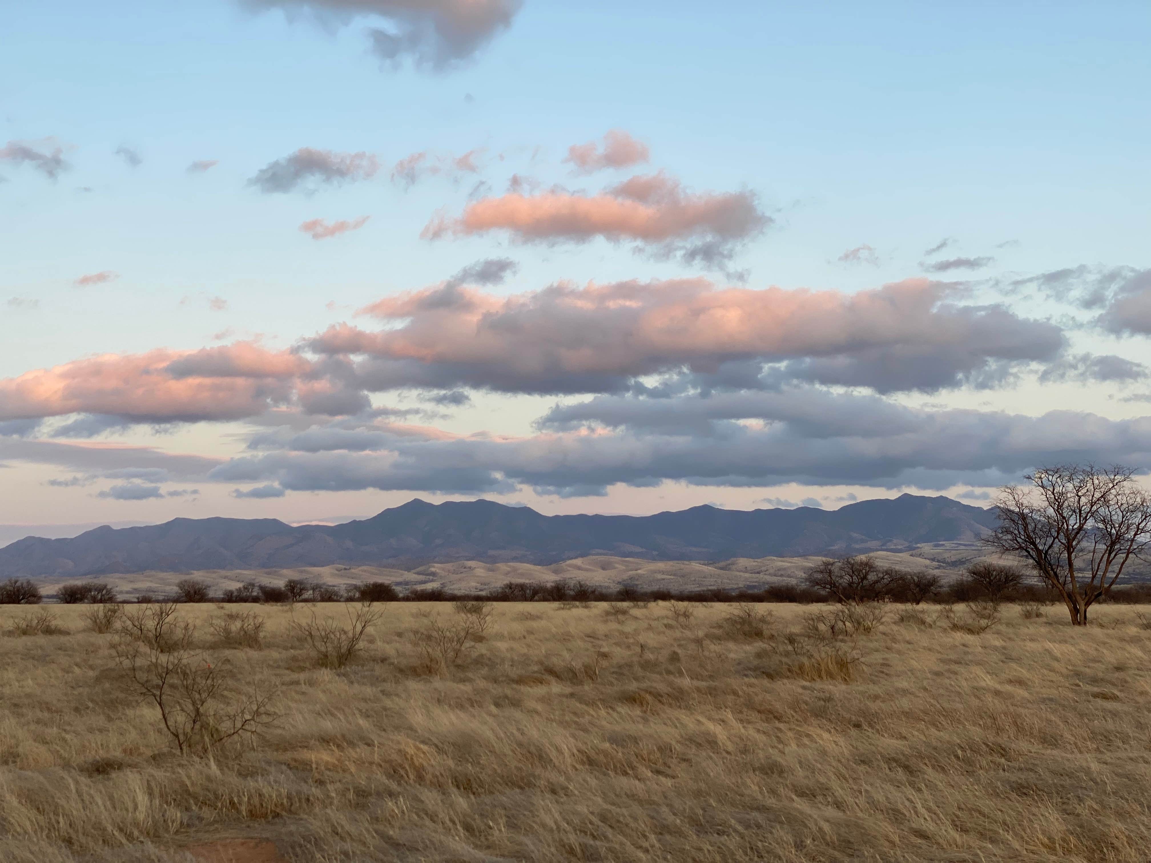 Stuart K.'s photo of a dispersed camping area at La Cienegas National Conservation Area Dispersed near Vail, AZ
