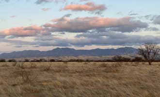 Camping near Mescal Road Dispersed Site: La Cienegas National Conservation Area Dispersed, Elgin, Arizona