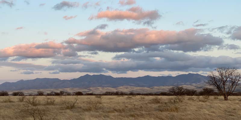 Camper submitted image from La Cienegas National Conservation Area Dispersed