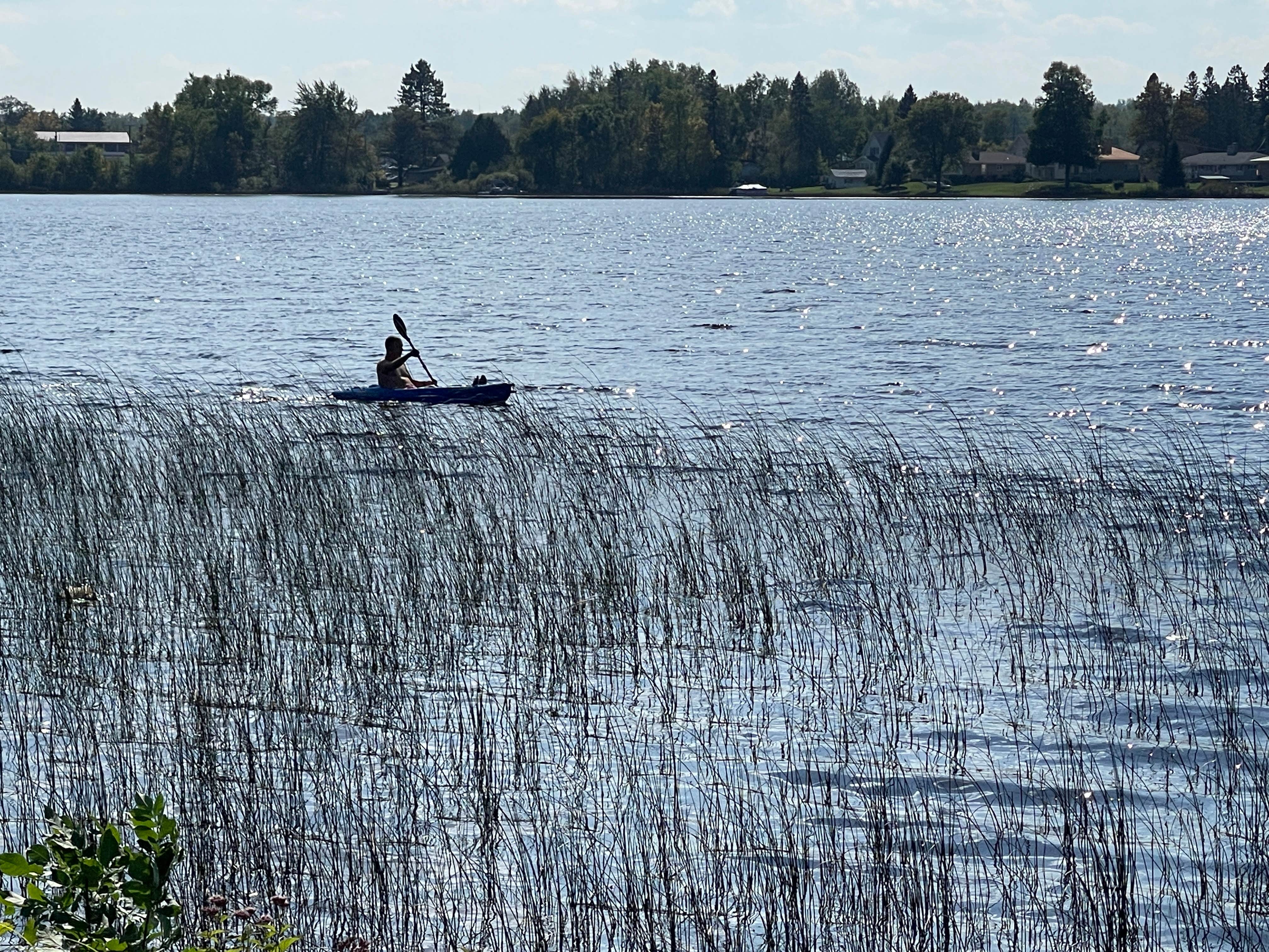 Camper submitted image from Eddy Park & Campground - 4