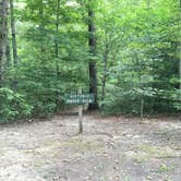Review photo of Cub Lake Campground #1 — Natchez Trace State Park by Shelly S., August 13, 2016