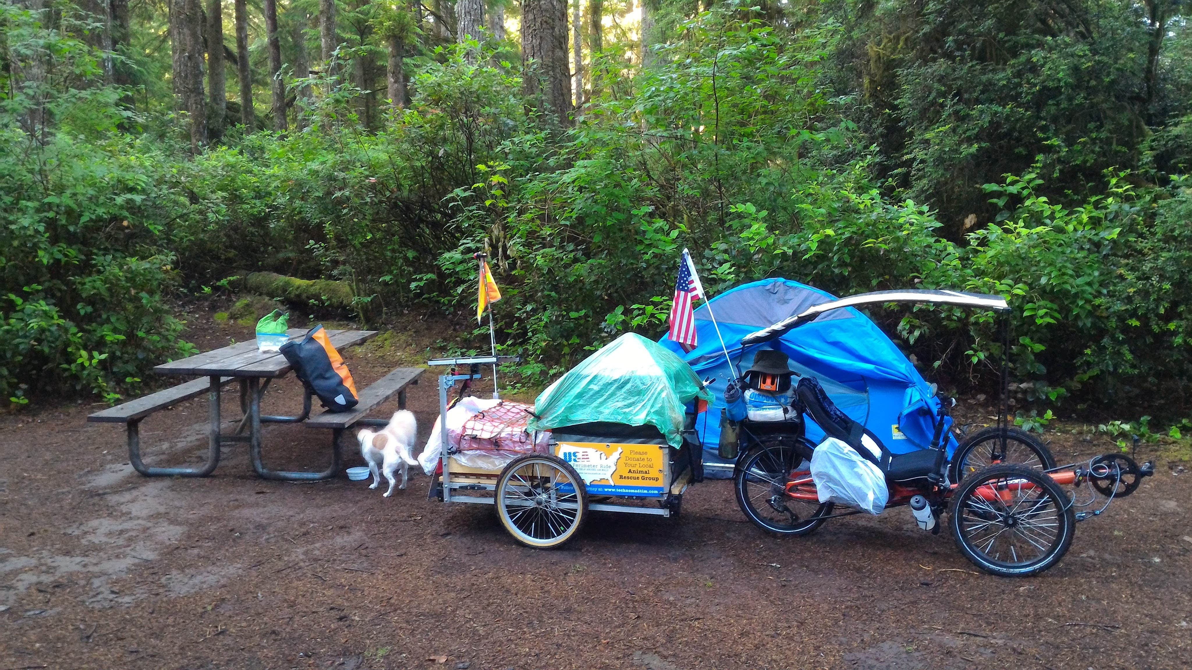 Tim J.'s photo at Jessie M. Honeyman Memorial State Park Campground near Mapleton, OR