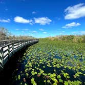 Review photo of Long Pine Key Campground — Everglades National Park by Katrin M., February 16, 2023