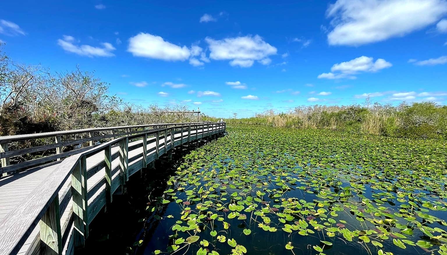 Everglades National Park
