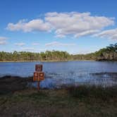 Review photo of Long Pine Key Campground — Everglades National Park by Katrin M., February 16, 2023