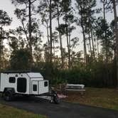 Review photo of Long Pine Key Campground — Everglades National Park by Katrin M., February 16, 2023