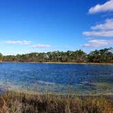 Review photo of Long Pine Key Campground — Everglades National Park by Katrin M., February 16, 2023