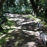 Review photo of Carl G. Washburne Memorial State Park Campground by Tim J., September 30, 2018